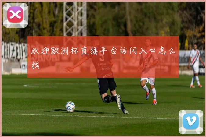 欢迎欧洲杯直播平台访问入口怎么找