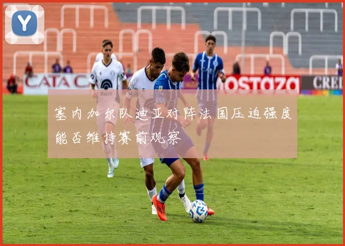 塞内加尔队迪亚对阵法国压迫强度能否维持赛前观察