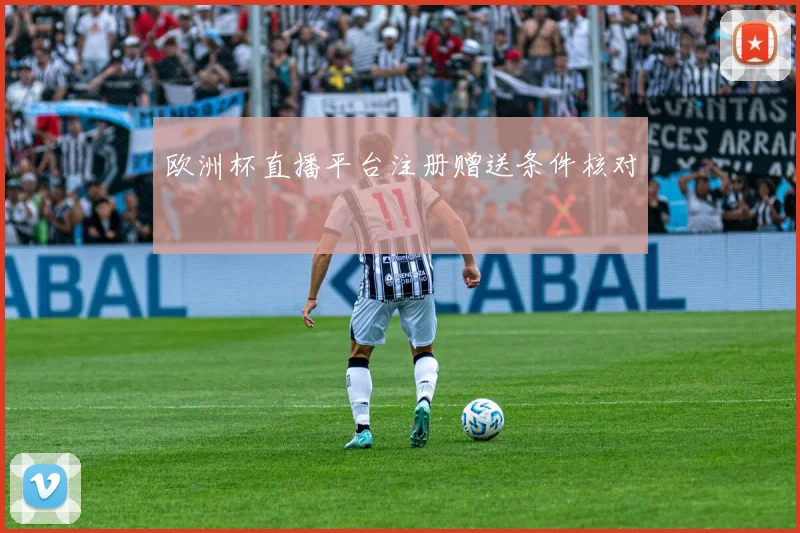 欧洲杯直播平台注册赠送条件核对